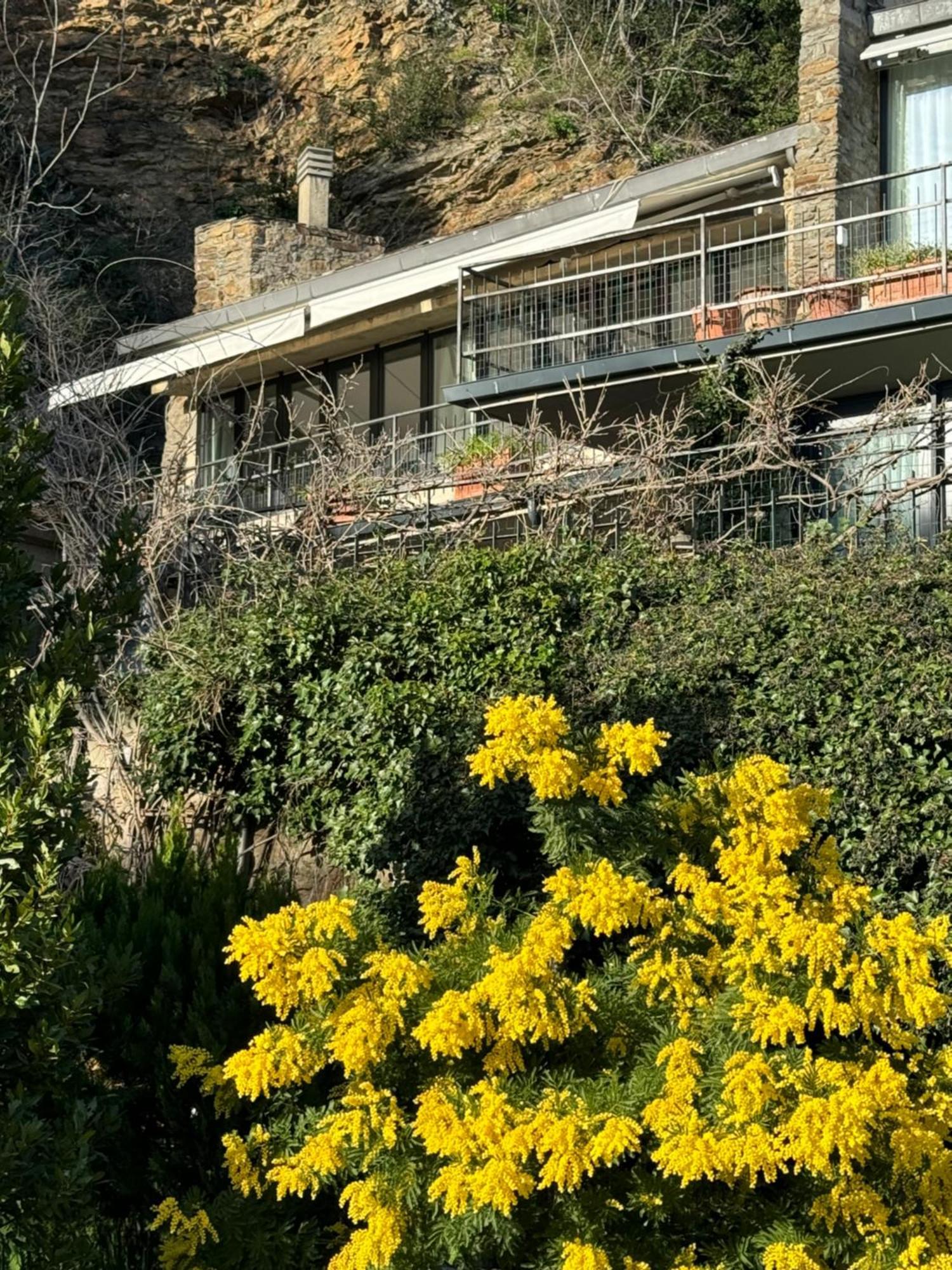 Florence Rock Apartment Εξωτερικό φωτογραφία